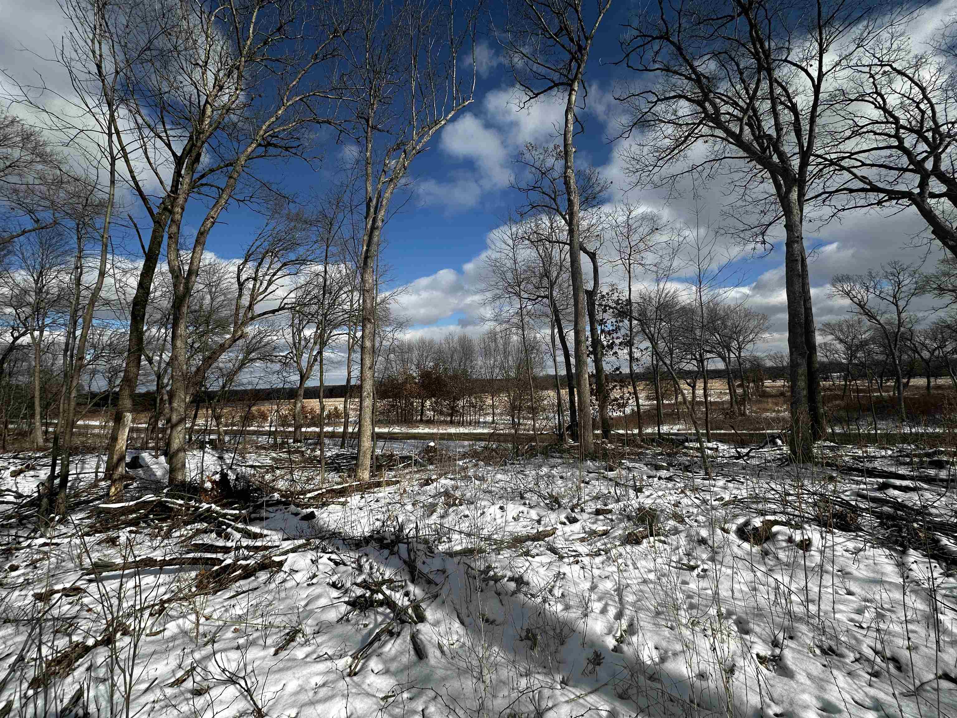 County Road Westfield, WI 53964 - Photo 19 of 29