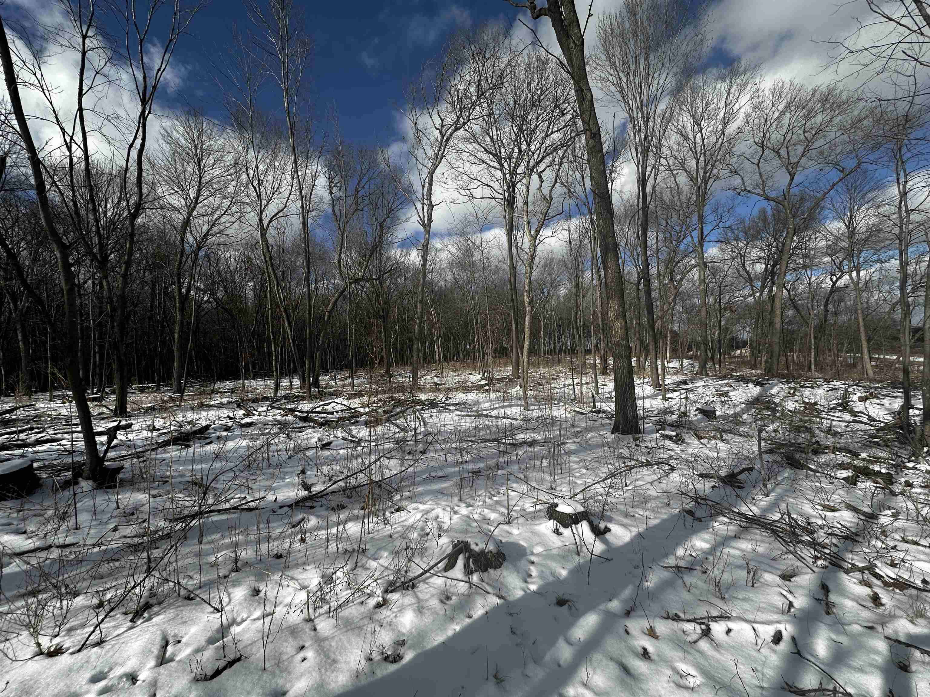County Road Westfield, WI 53964 - Photo 20 of 29