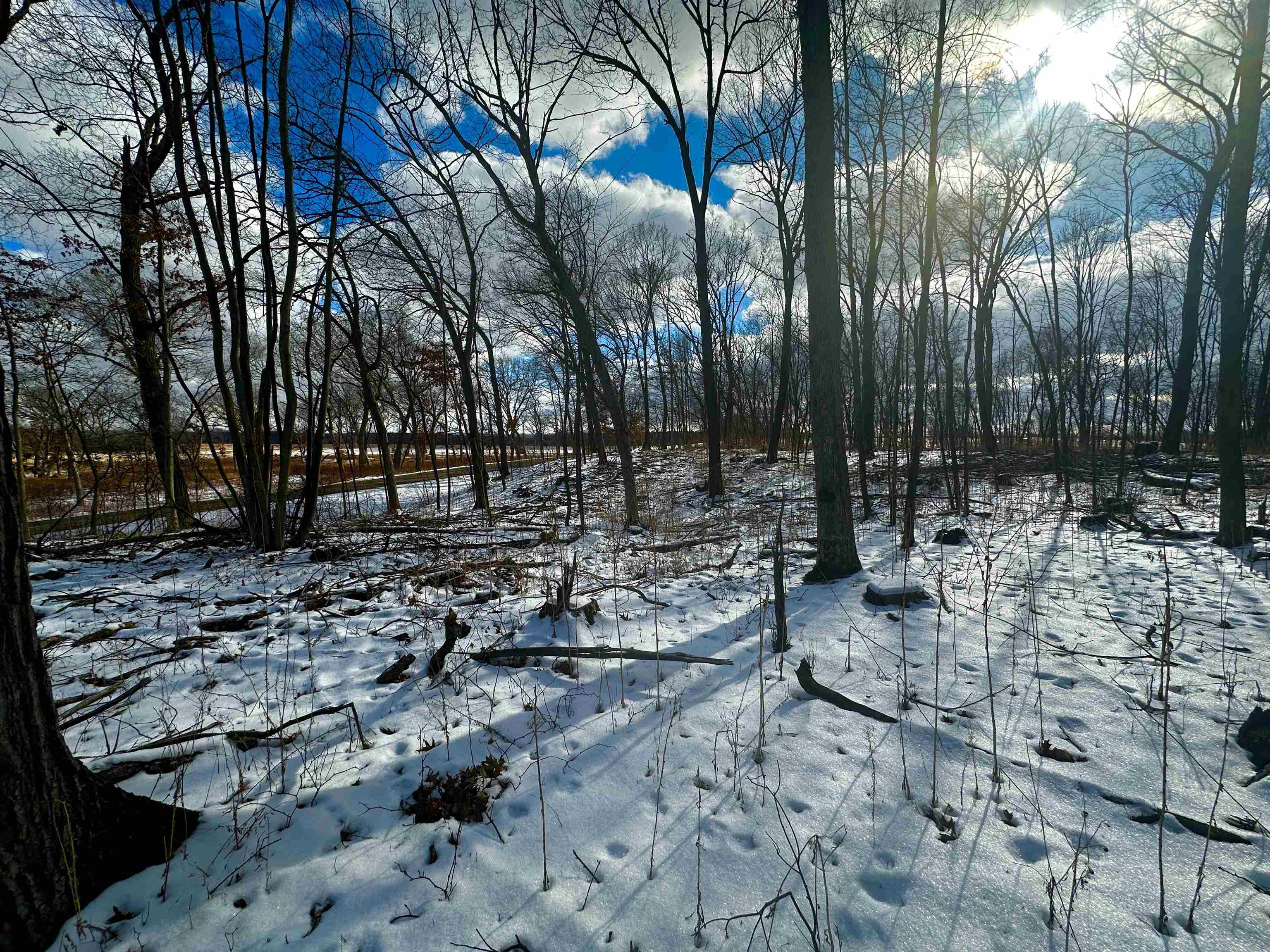 County Road Westfield, WI 53964 - Photo 21 of 29