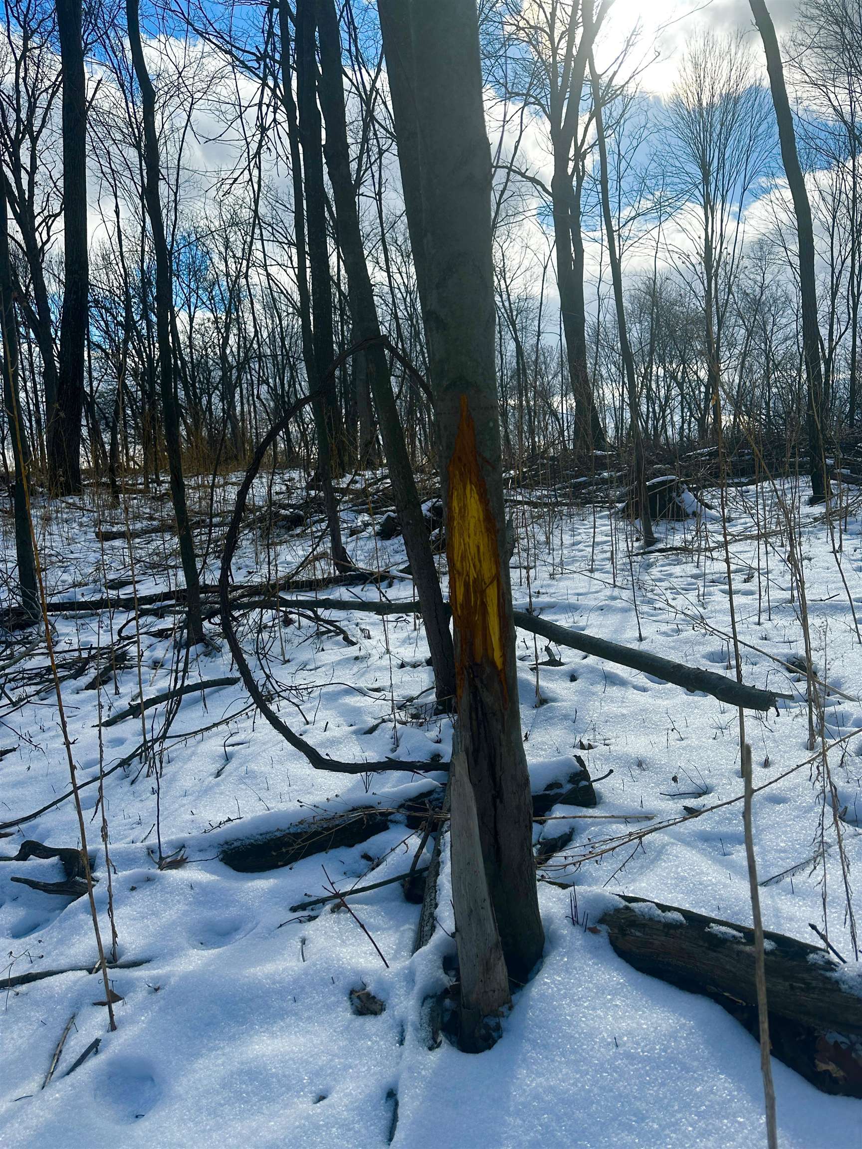 County Road Westfield, WI 53964 - Photo 22 of 29