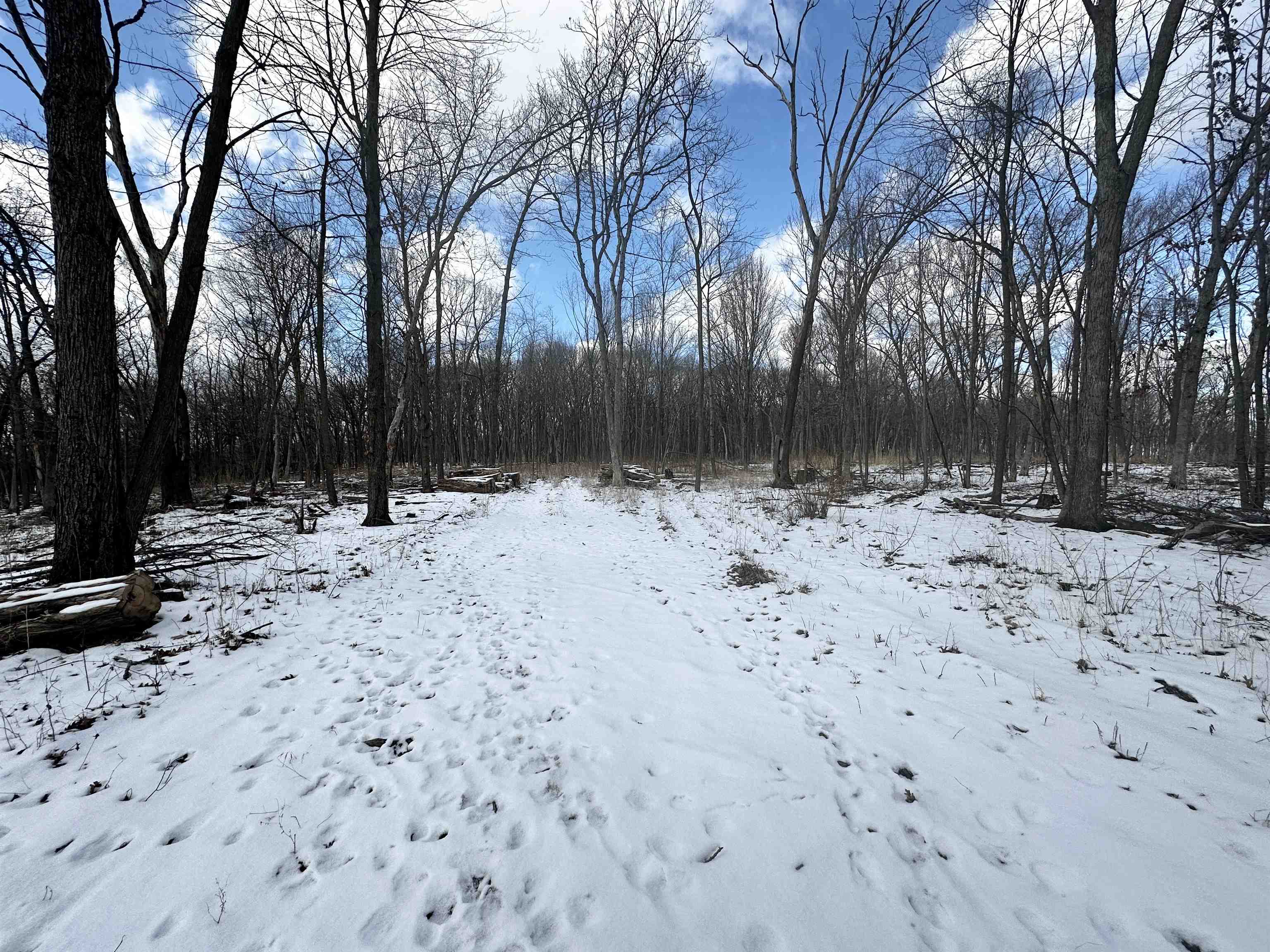 County Road Westfield, WI 53964 - Photo 9 of 29