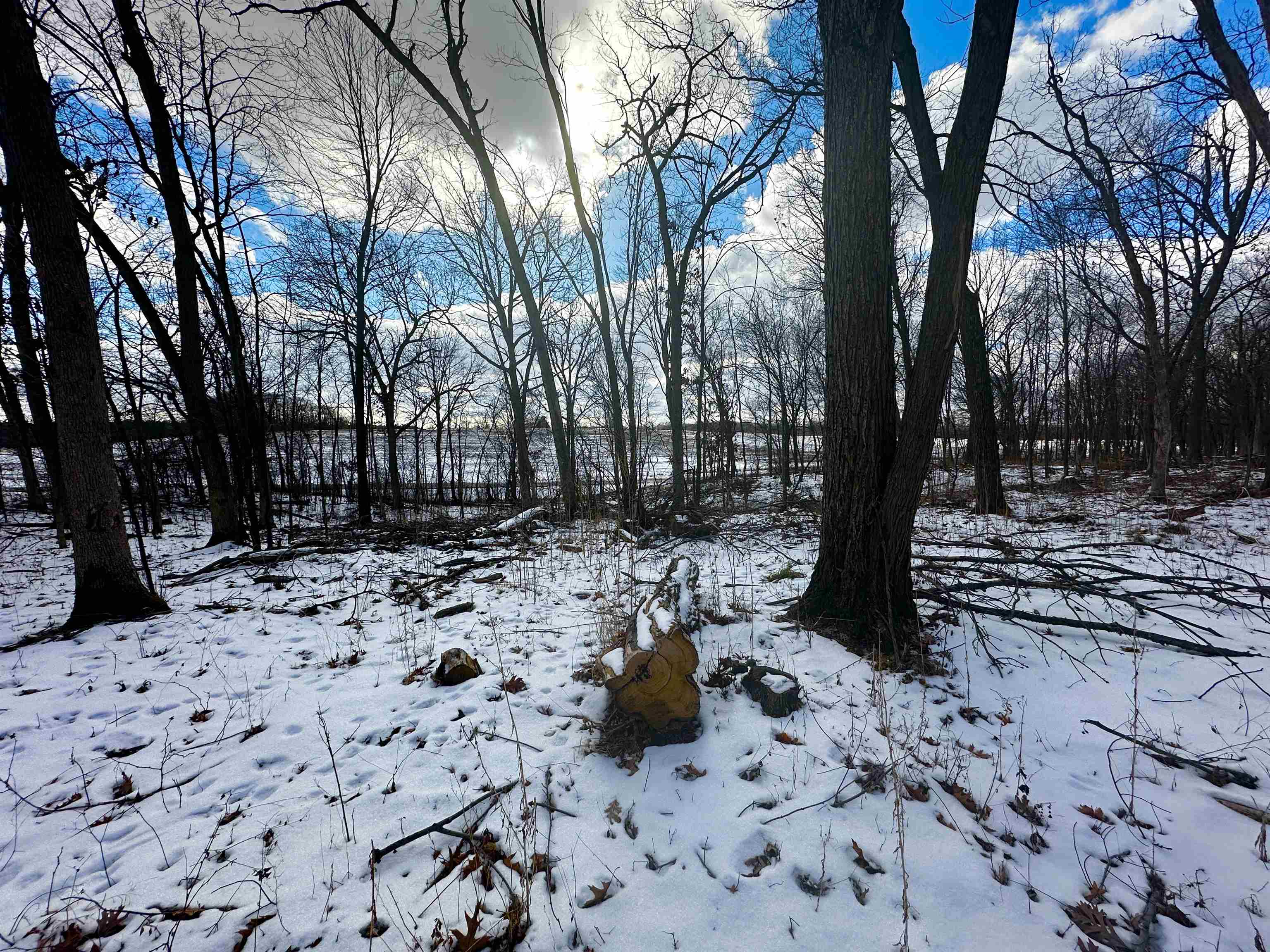County Road Westfield, WI 53964 - Photo 10 of 29