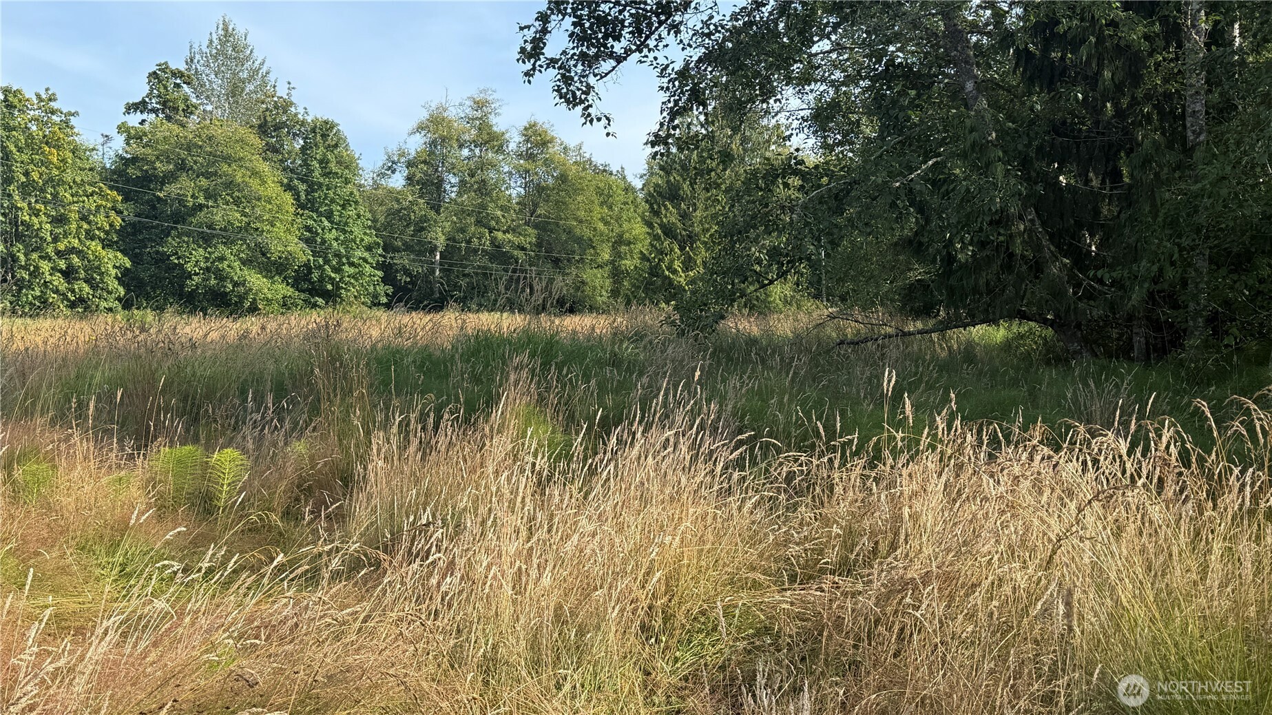 4608 South Doss Road Port Angeles, WA 98362 - Photo 13 of 20