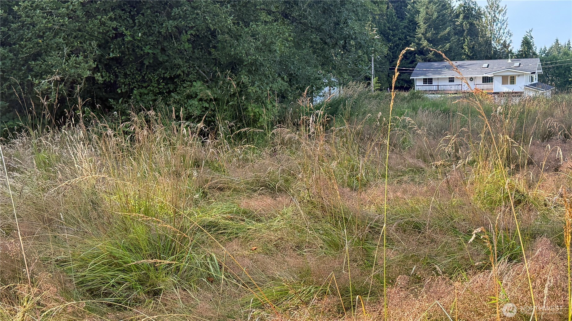 4608 South Doss Road Port Angeles, WA 98362 - Photo 14 of 20