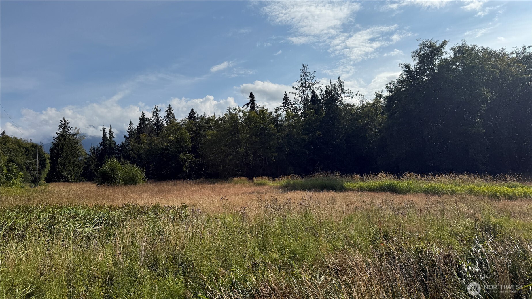 4608 South Doss Road Port Angeles, WA 98362 - Photo 15 of 20