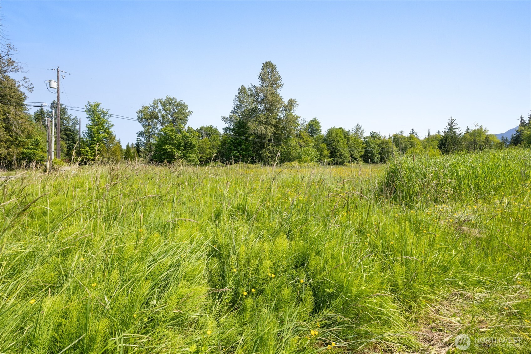 4608 South Doss Road Port Angeles, WA 98362 - Photo 19 of 20