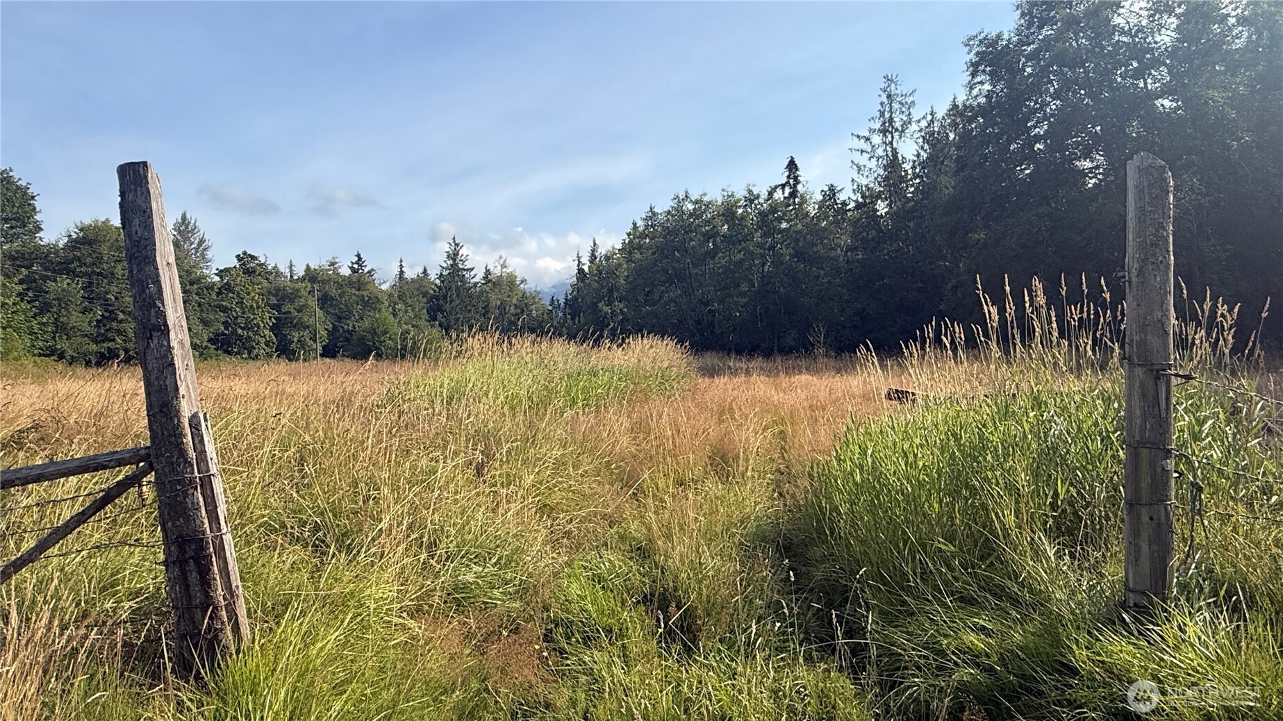 4608 South Doss Road Port Angeles, WA 98362 - Photo 4 of 20