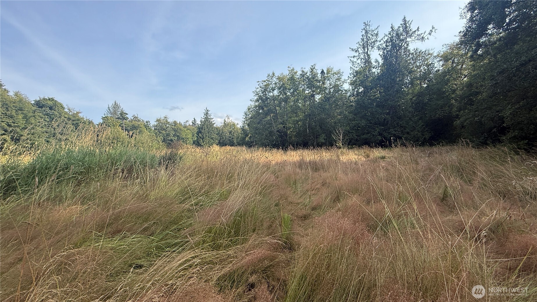 4608 South Doss Road Port Angeles, WA 98362 - Photo 9 of 20