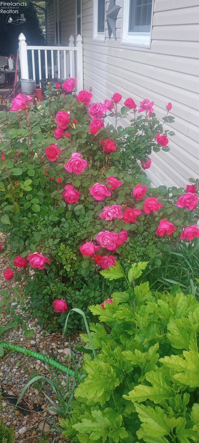 1981 Skinner Road Plymouth, OH 44865 - Photo 37 of 37 Gallery Image 37