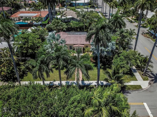 a view of a yard with plants and palm trees