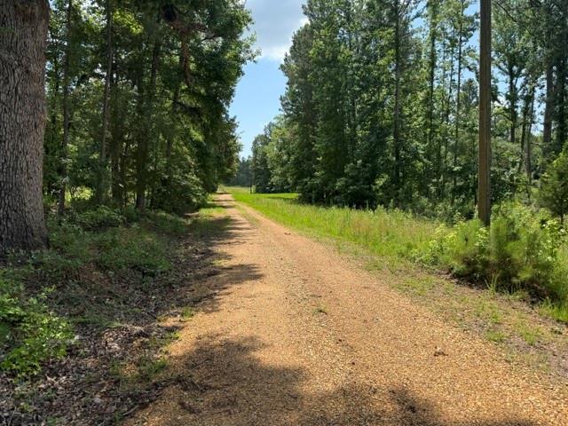 0 Marsalis Road Arcadia, LA 71001 - Photo 3 of 16
