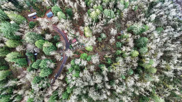 a view of a tree