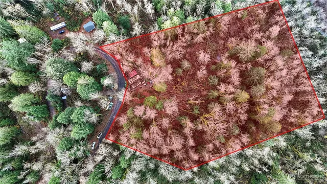 a view of flowers in middle