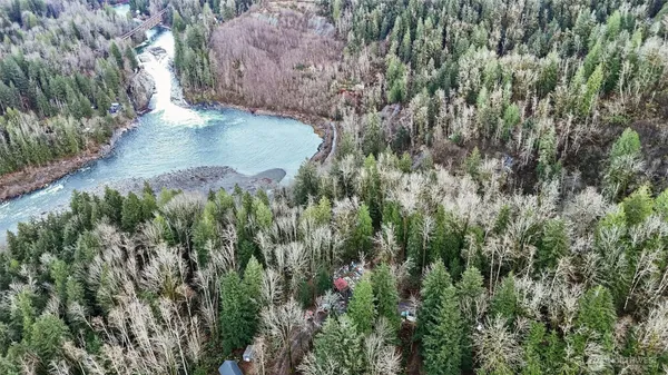 a view of a yard with plants and large trees