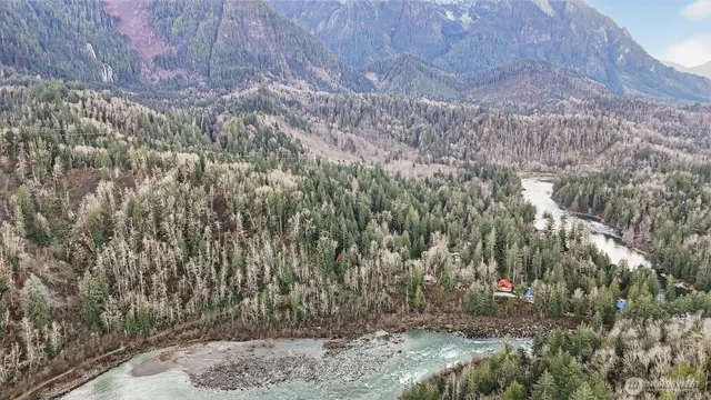 a view of a dry yard with trees