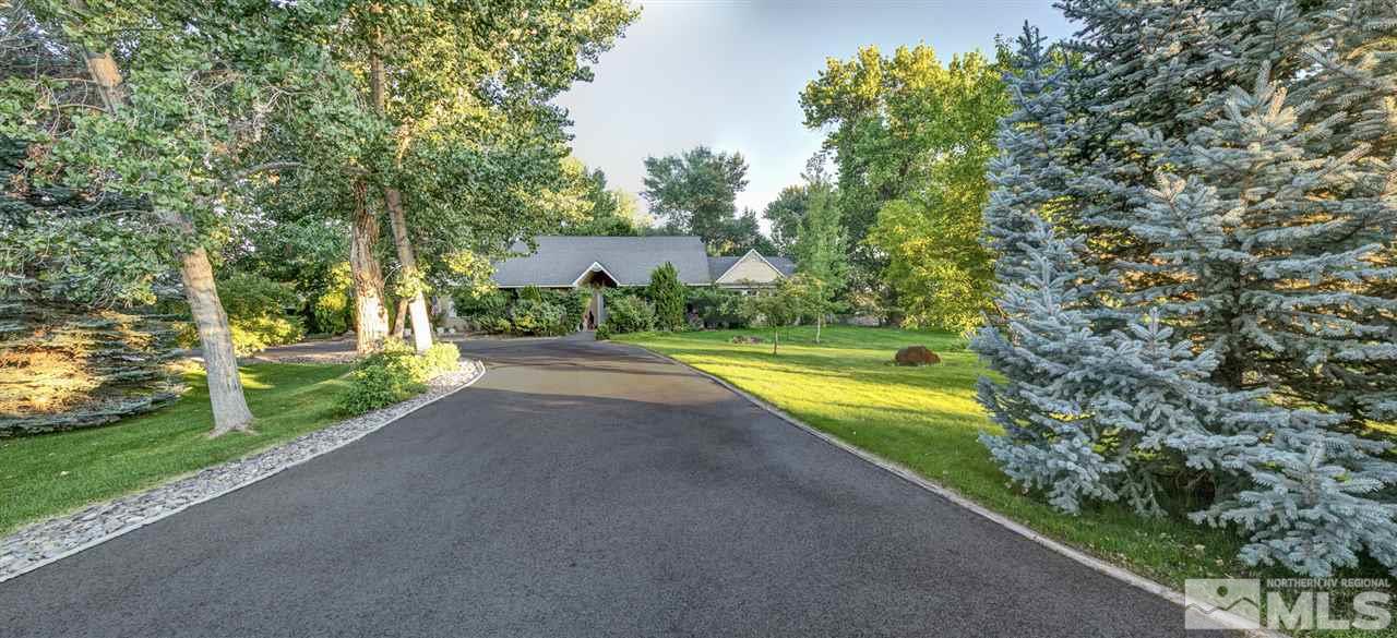 a view of a house with a yard and a large tree