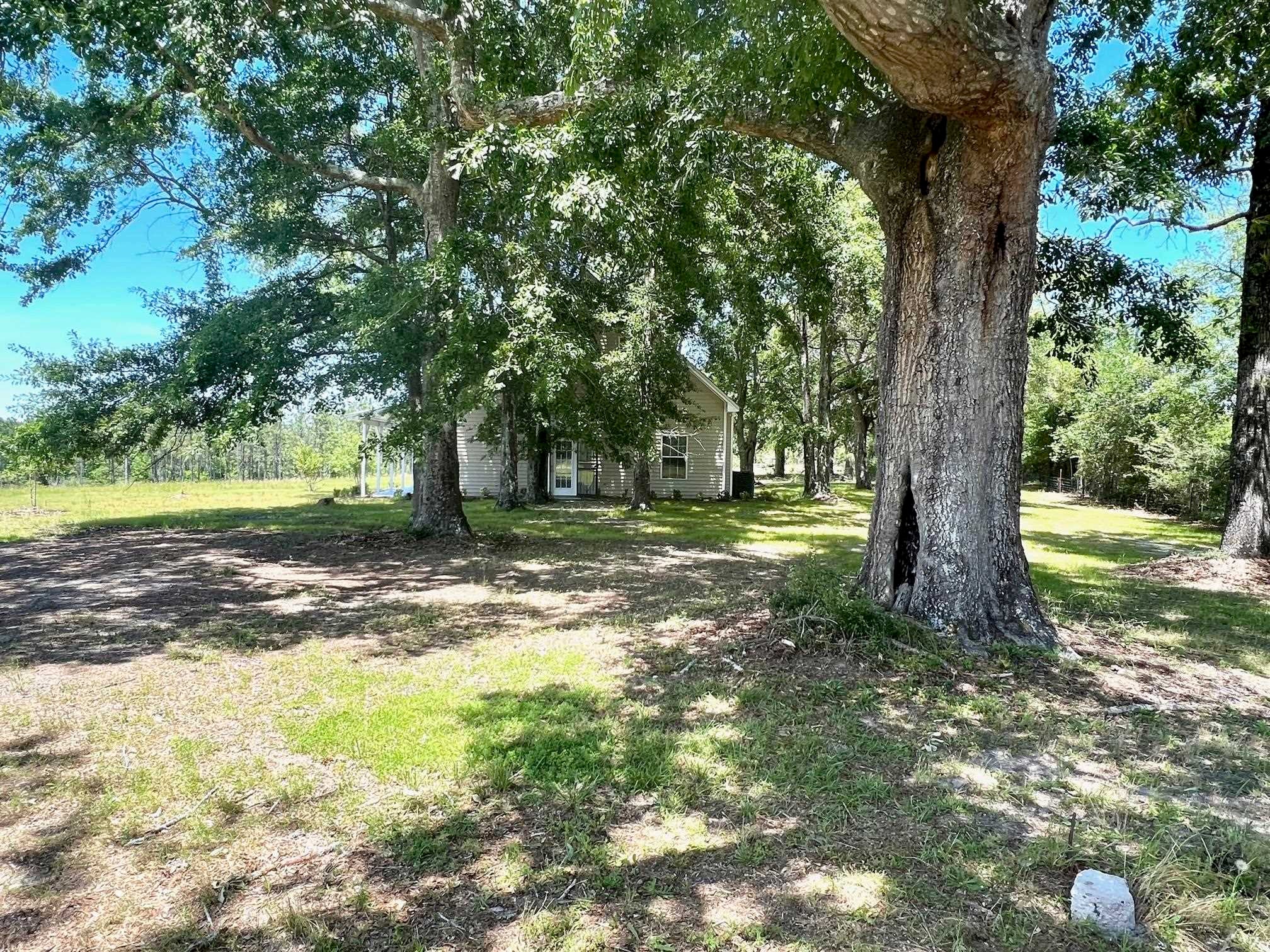 14814 Rockhole Bridge Road Andalusia, AL 36420 - Photo 6 of 20 Gallery Image 6