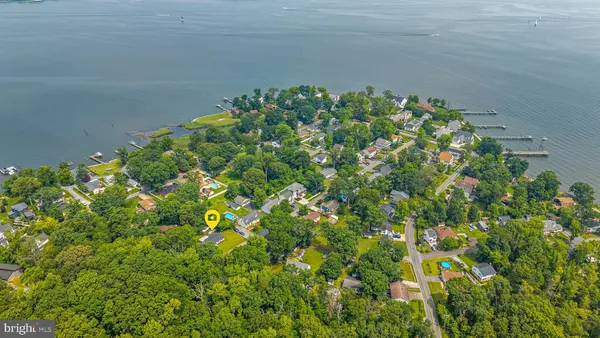 a close up of a plant