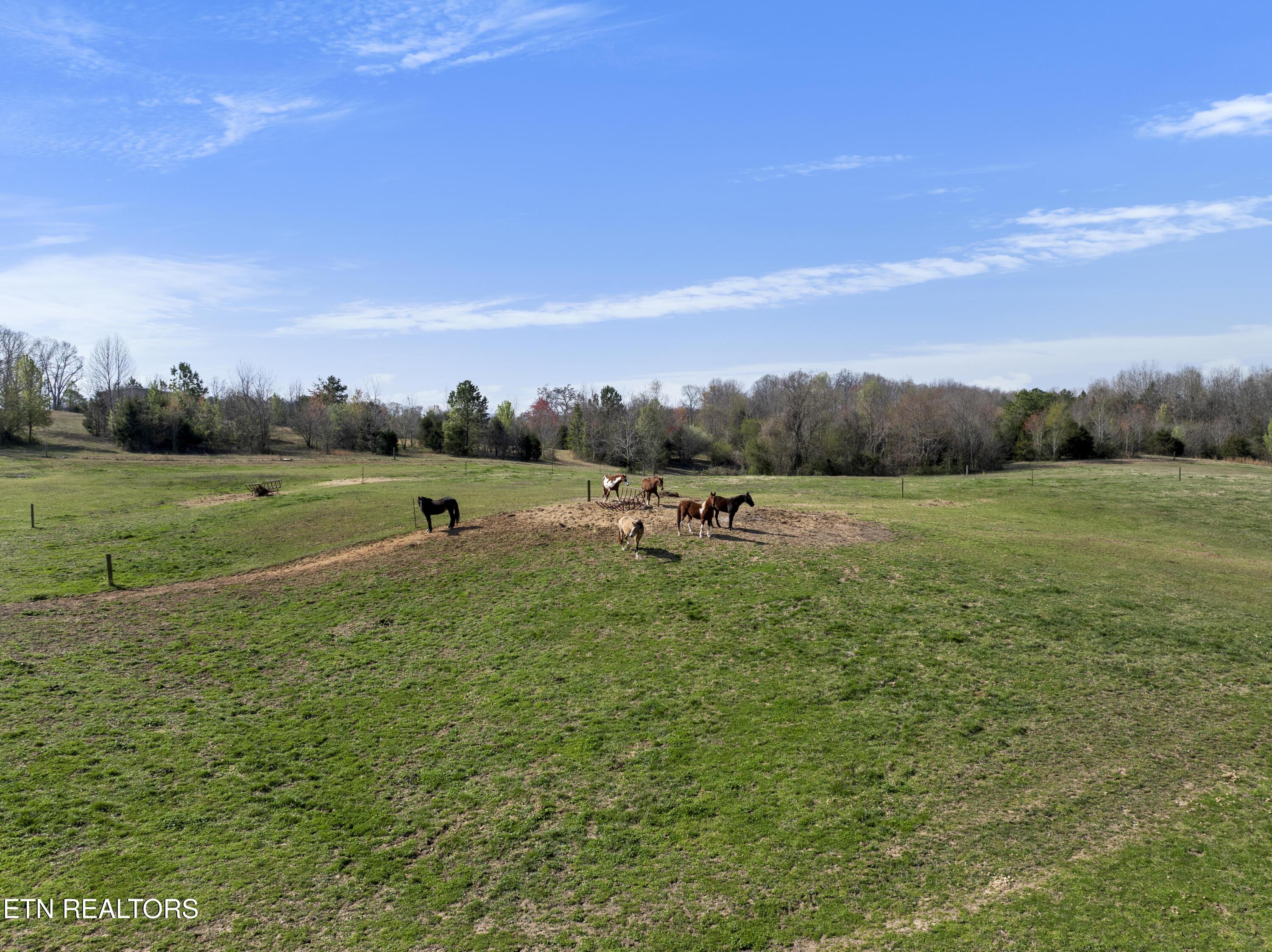 5816 Caldwell Road Loudon, TN 37774 - Photo 21 of 23 DJI_0673