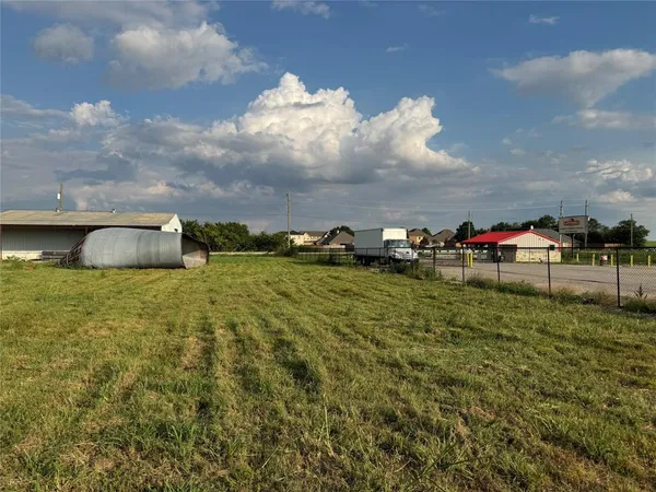 a view of a big yard with plants and large trees