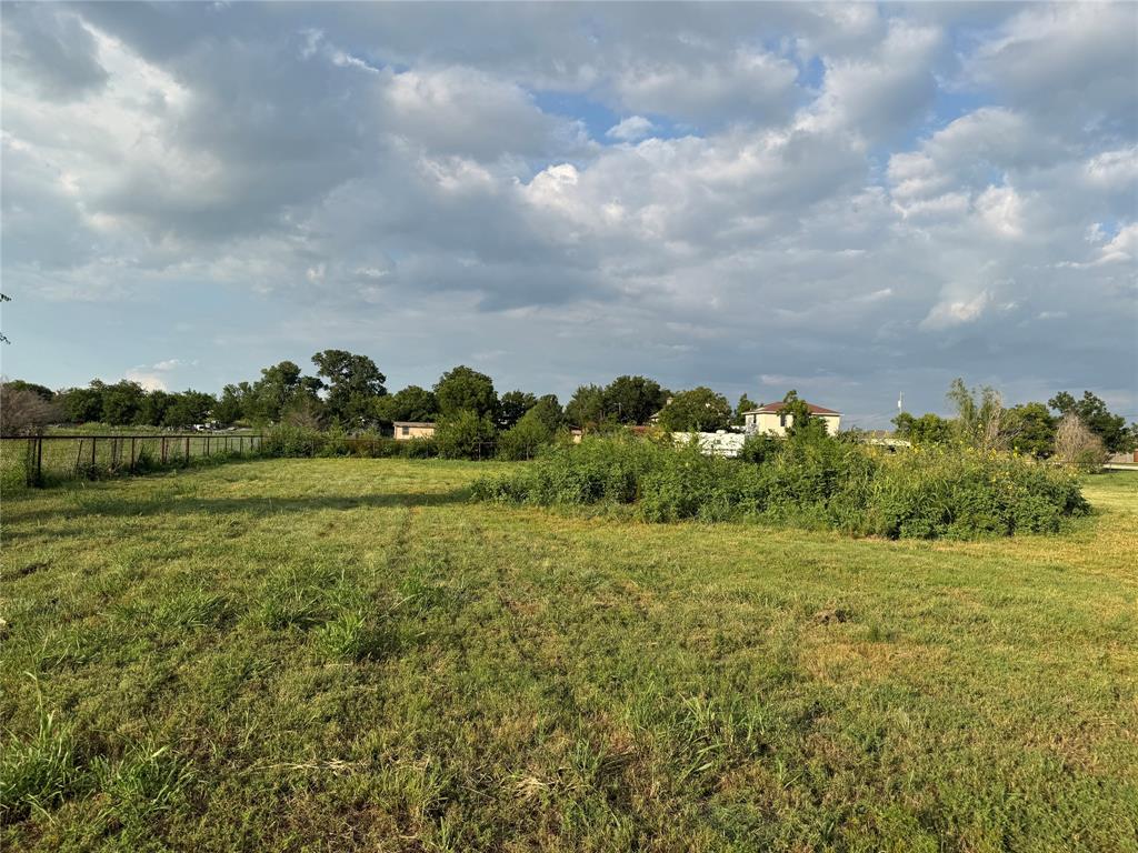 13625 Reeder Road Forney, TX 75126 - Photo 17 of 18 a view of a big yard with plants and large trees
