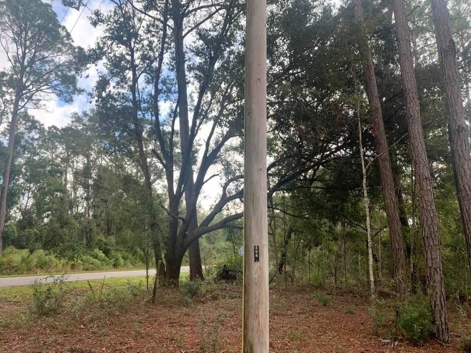 26348 Feely Road Elberta, AL 36530 - Photo 4 of 43