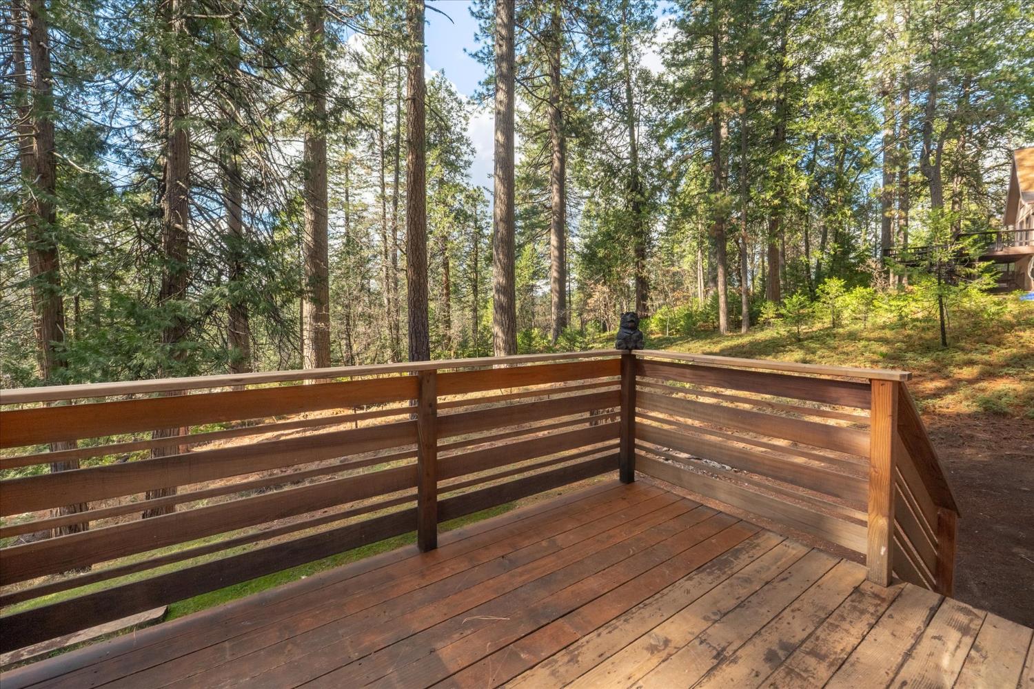210 David Lee Road Arnold, CA 95223 - Photo 31 of 37 a view of outdoor space with trees
