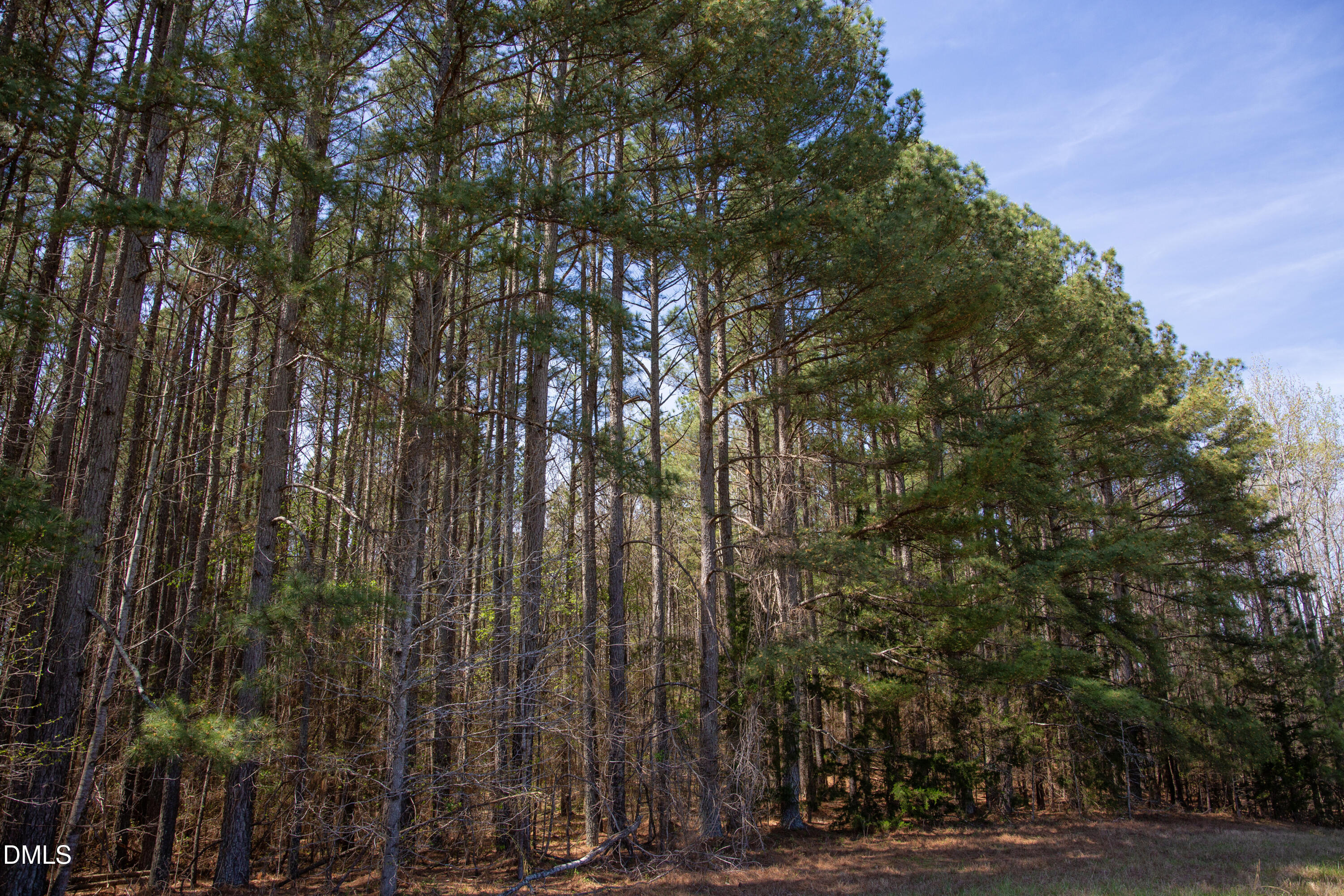 -19 Acs Doll Branch Road Milton, NC 27305 - Photo 9 of 10