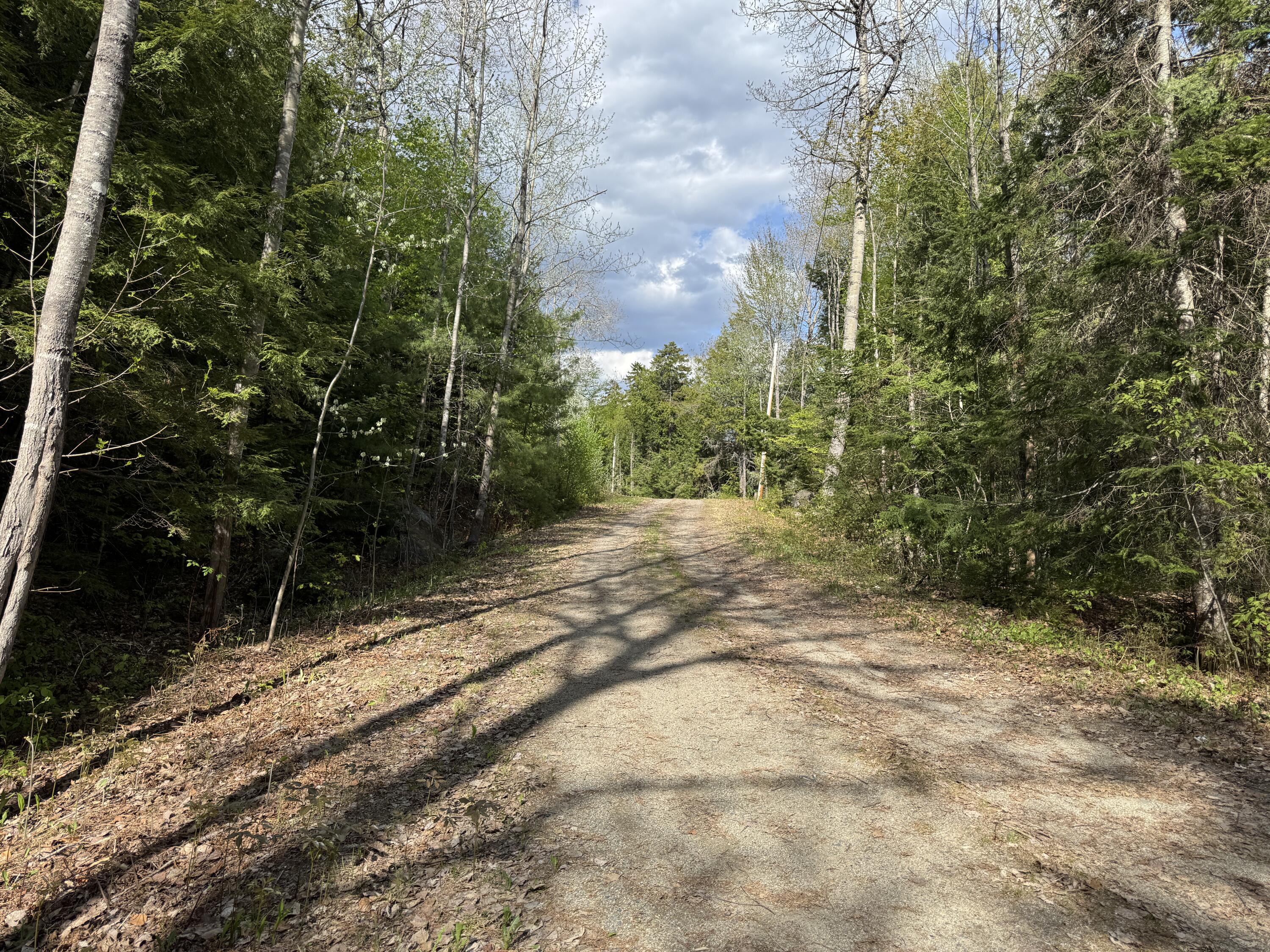 0 Elbow Lake Road Millinocket, ME 04462 - Photo 16 of 33 IMG_0405