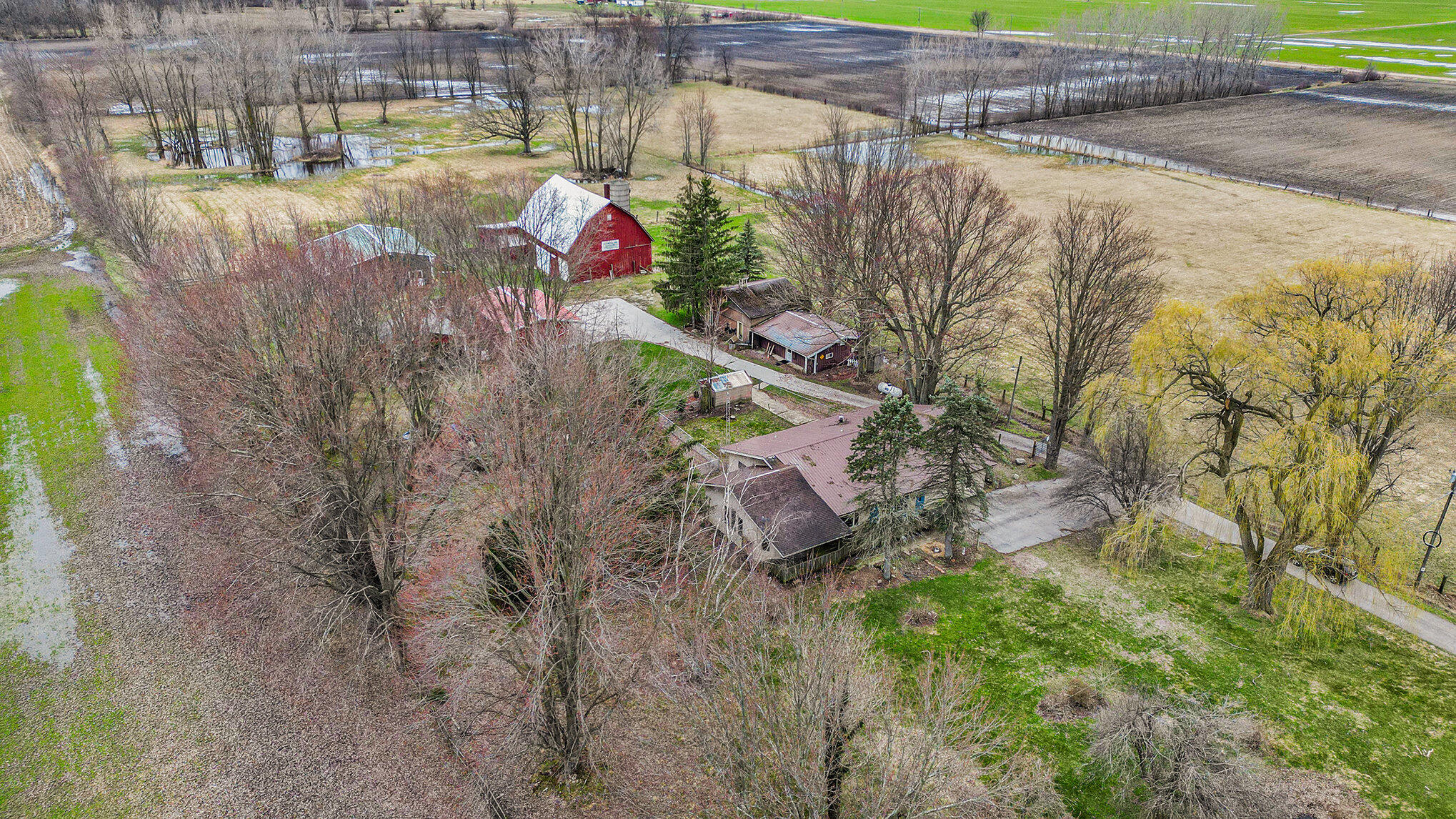 8813 Heights Ravenna Road Ravenna, MI 49451 - Photo 8 of 46 Country living....