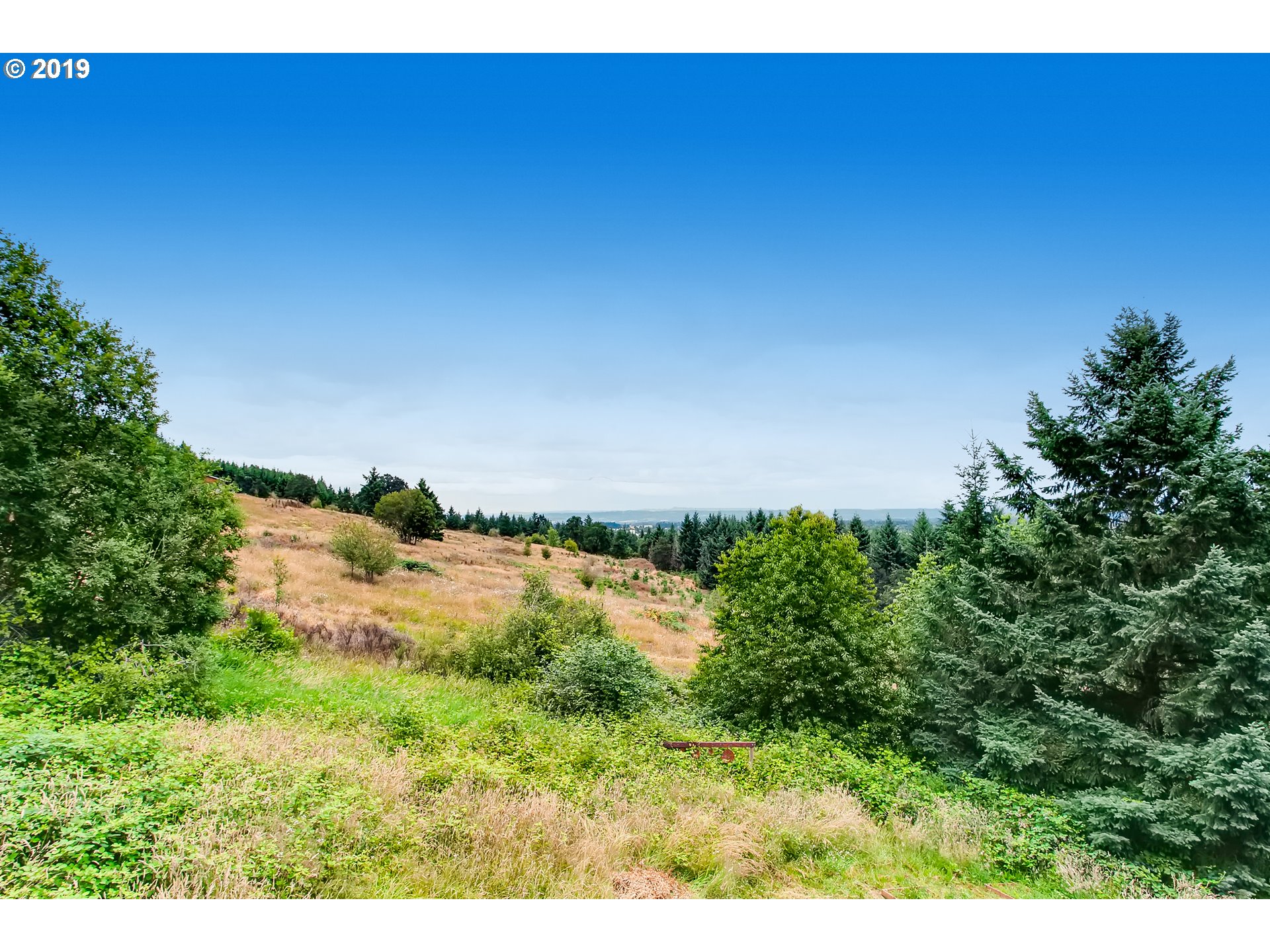39747 Southwest Blooming Fern Hill Road Cornelius, OR 97113 - Photo 31 of 32 Gallery Image 31