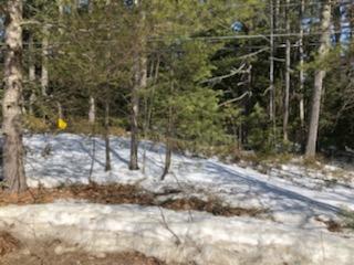 415 Oak Hill Road Standish, ME 04084 - Photo 3 of 6 IMG_0561