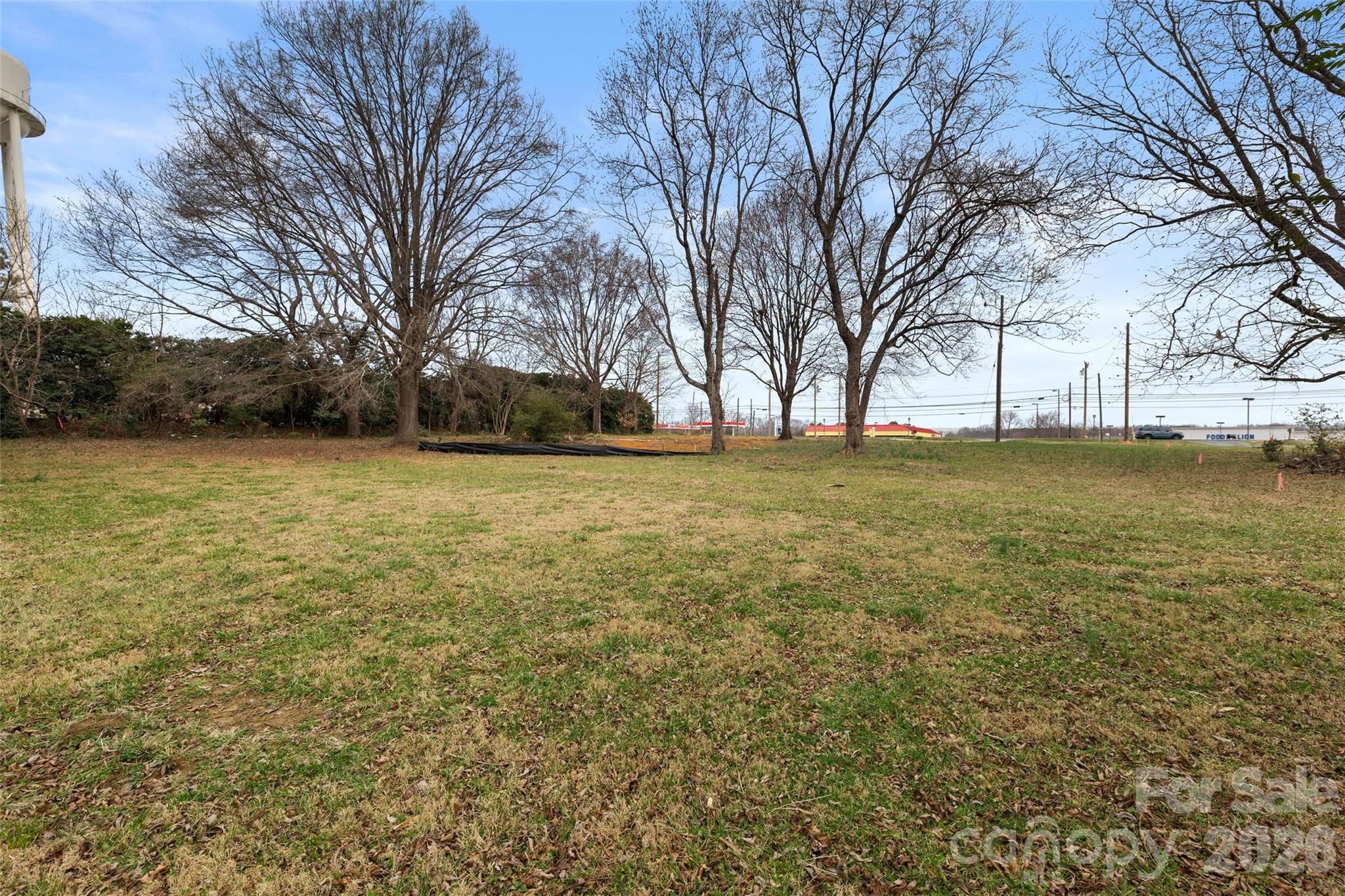 4324 Old Monroe Road Indian Trail, NC 28079 - Photo 7 of 8 a view of a yard with a trees