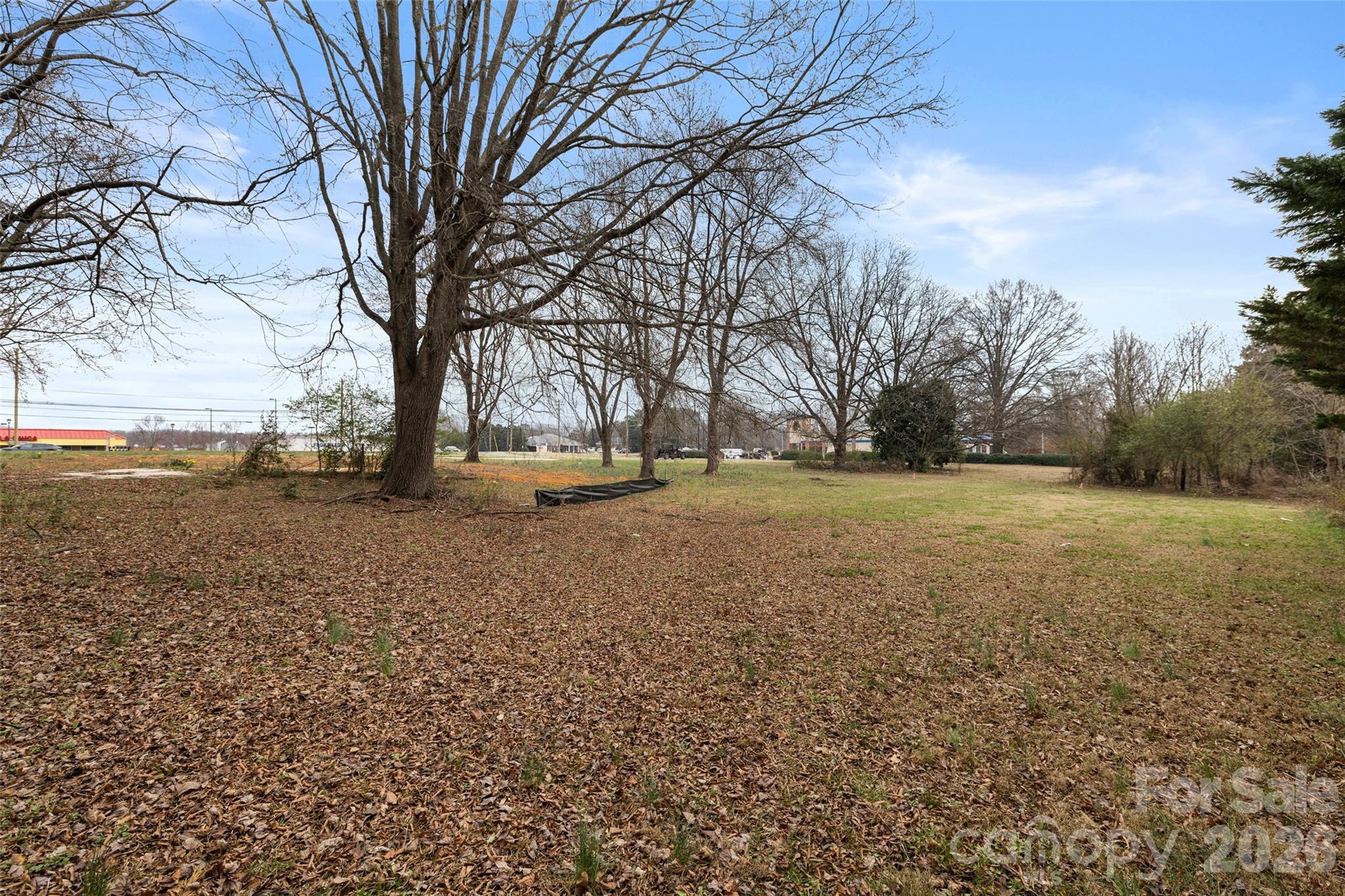 4324 Old Monroe Road Indian Trail, NC 28079 - Photo 8 of 8 a view of dirt field with trees