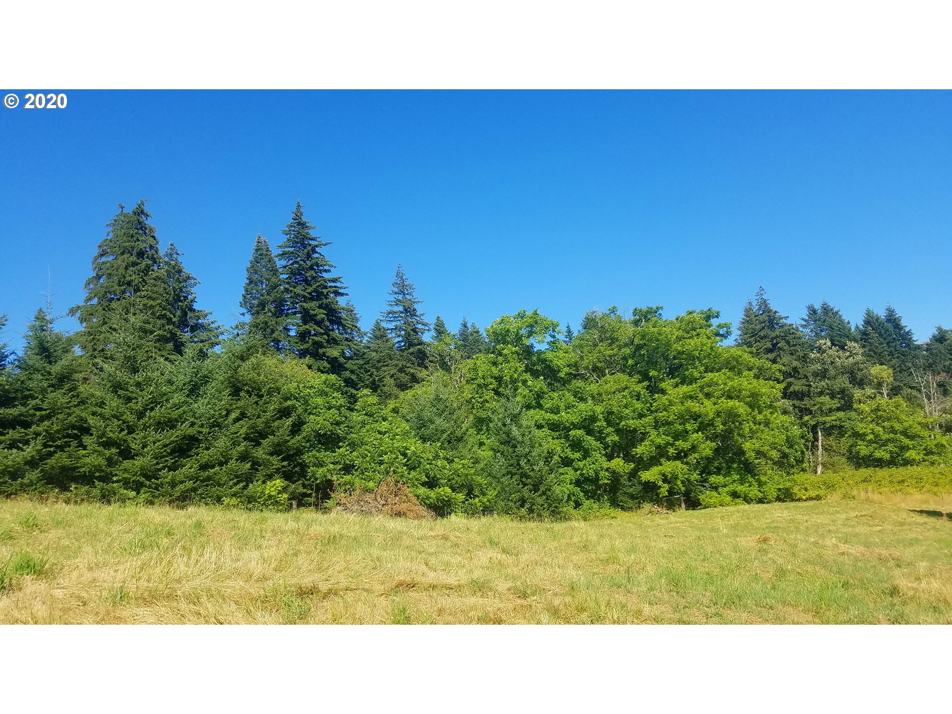 612 Butler Loop Road Stevenson, WA 98648 - Photo 8 of 15 Gallery Image 8
