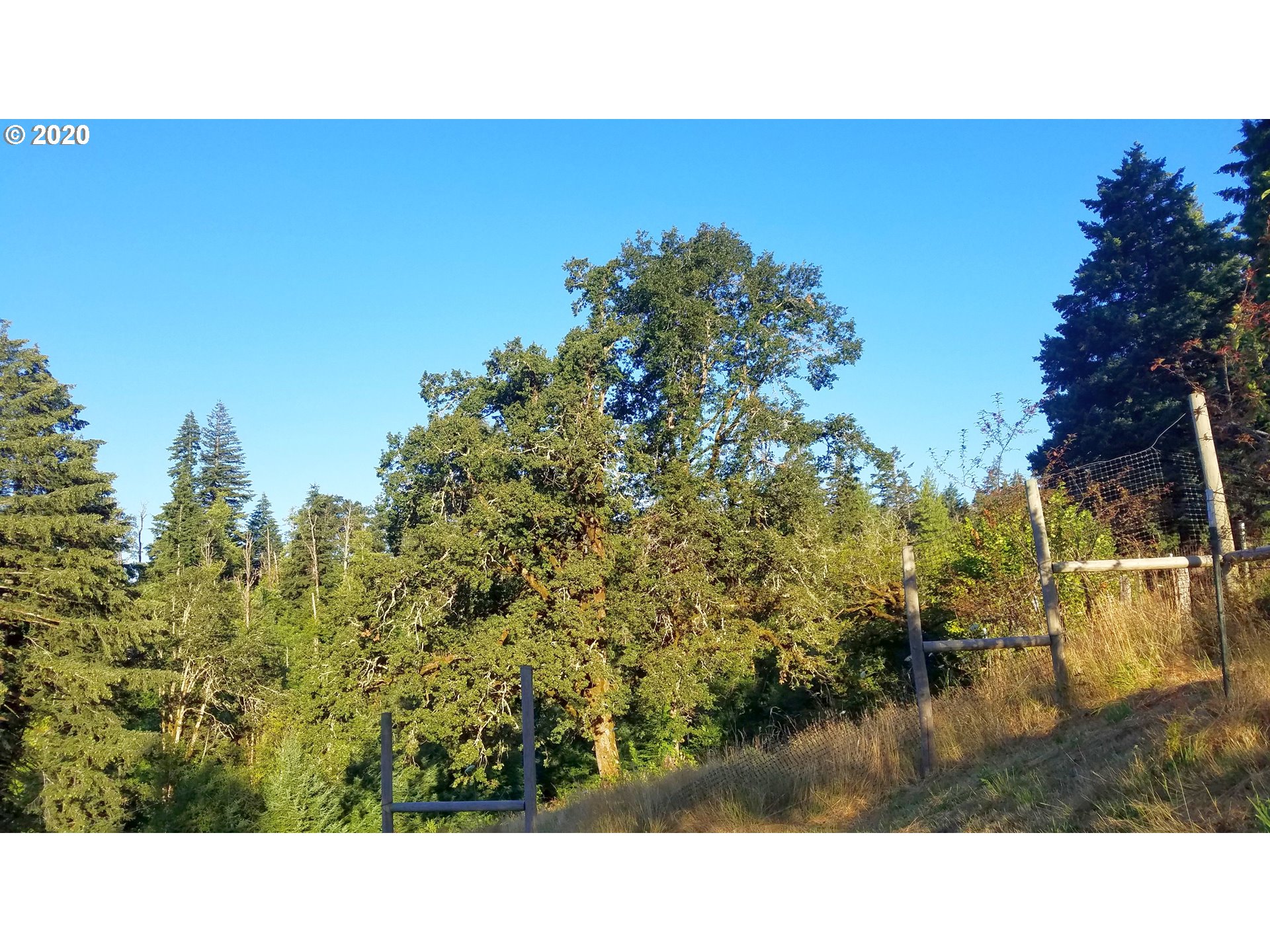 612 Butler Loop Road Stevenson, WA 98648 - Photo 10 of 15 Gallery Image 10