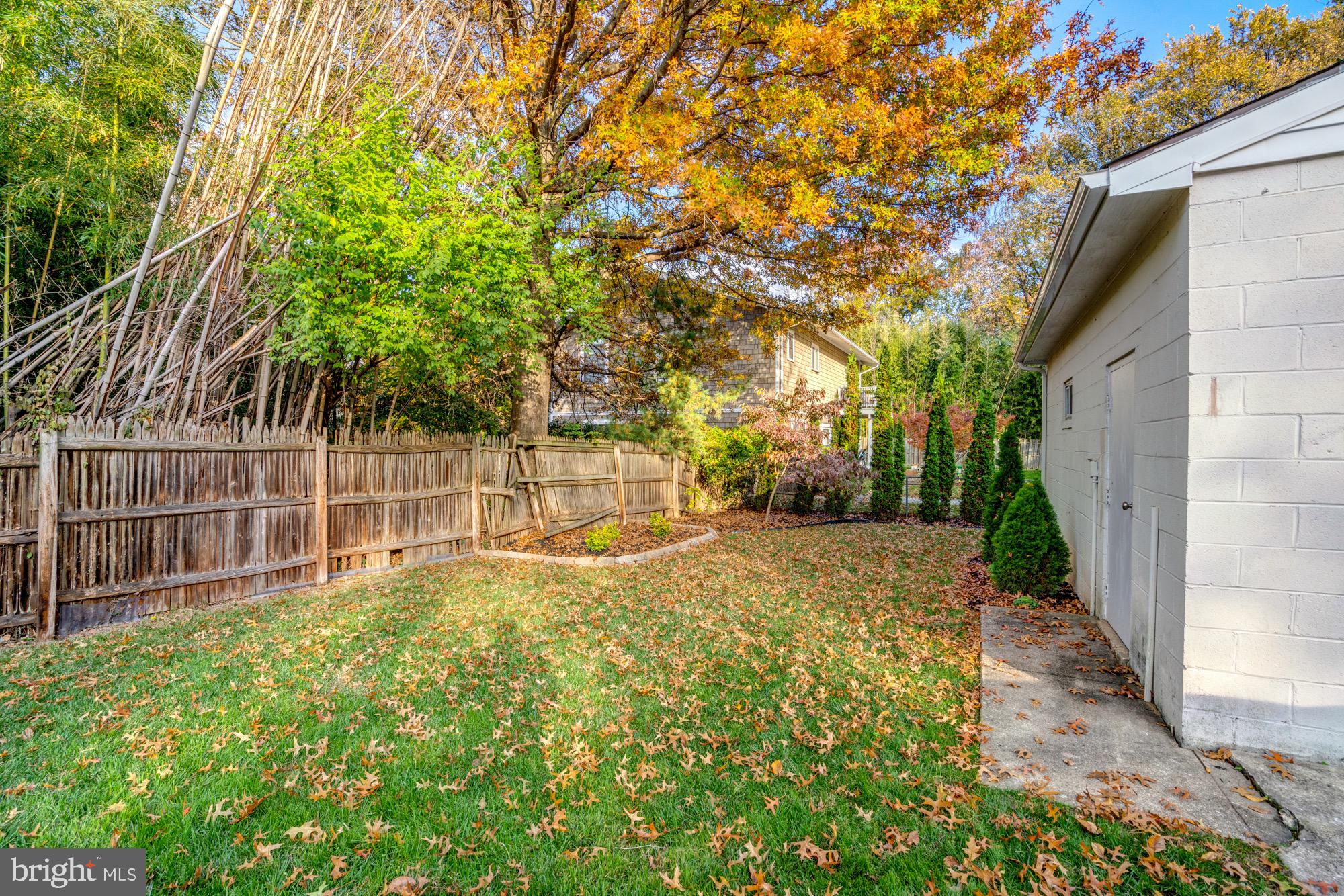 7223 Blair Road Northwest Washington, DC 20012 - Photo 46 of 58