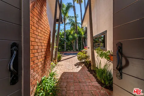 a view of a potted plants next to a building