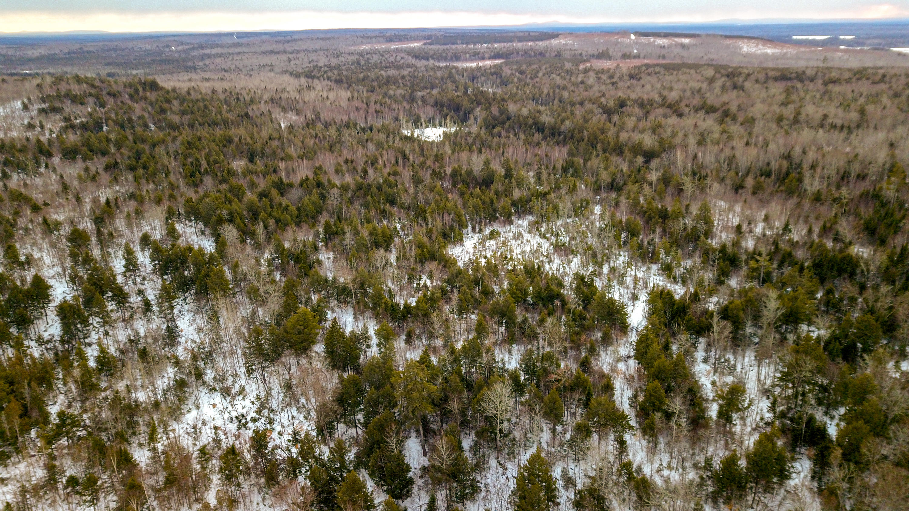 Lot 4-5 Lawler Ridge Road Benedicta, ME 04733 - Photo 13 of 21 Edited-16-