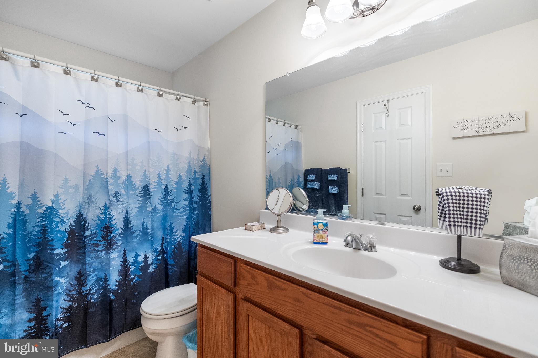 17400 Ryland Chapel Road Rixeyville, VA 22737 - Photo 35 of 65 Gallery Image 35