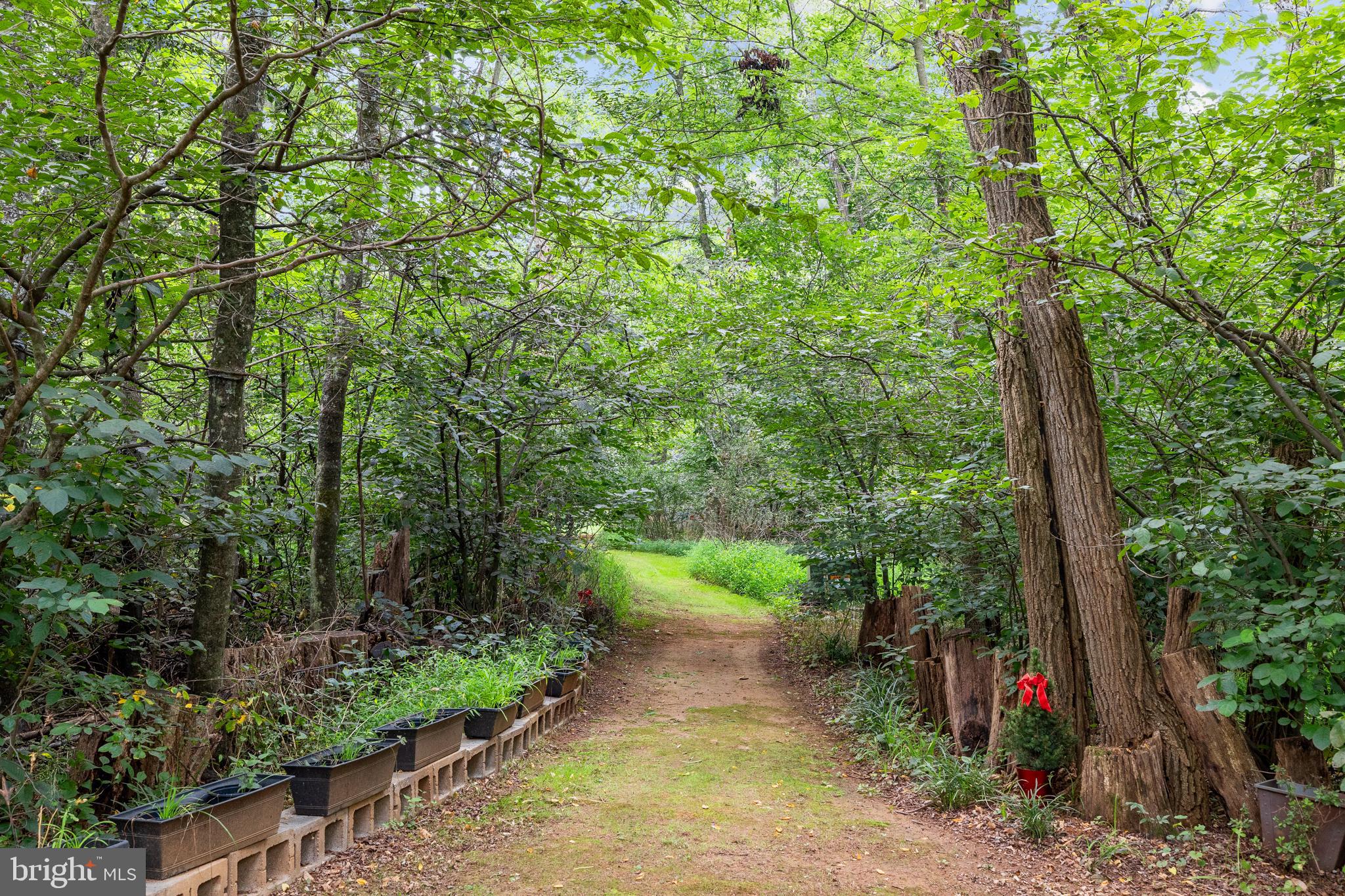 17400 Ryland Chapel Road Rixeyville, VA 22737 - Photo 46 of 65 Gallery Image 46