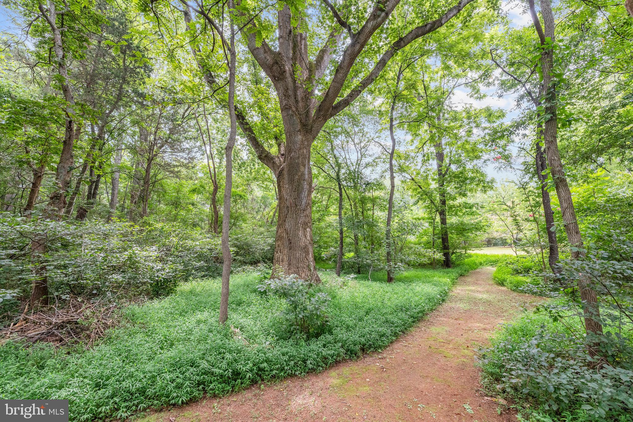 17400 Ryland Chapel Road Rixeyville, VA 22737 - Photo 59 of 65 Gallery Image 59