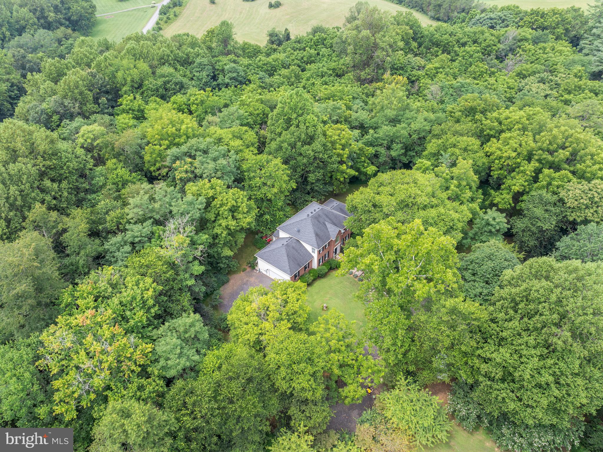 17400 Ryland Chapel Road Rixeyville, VA 22737 - Photo 60 of 65 Gallery Image 60