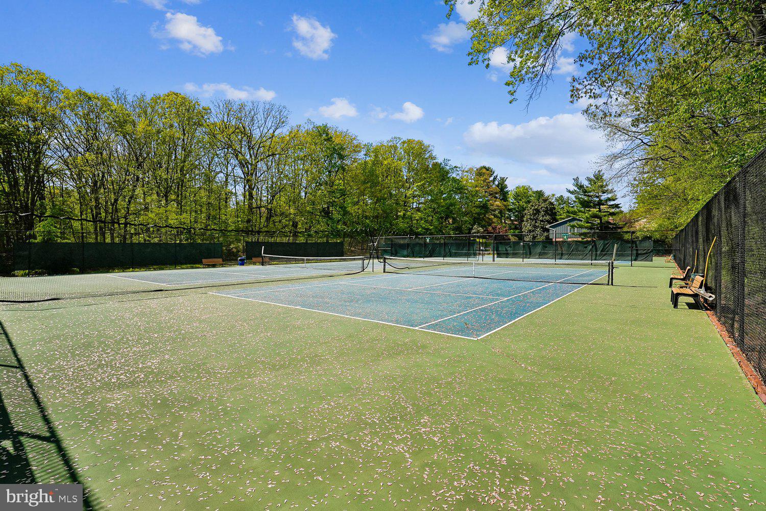 11110 Forest Edge Drive Reston, VA 20190 - Photo 37 of 46 Serene tennis courts amidst lush greenery.