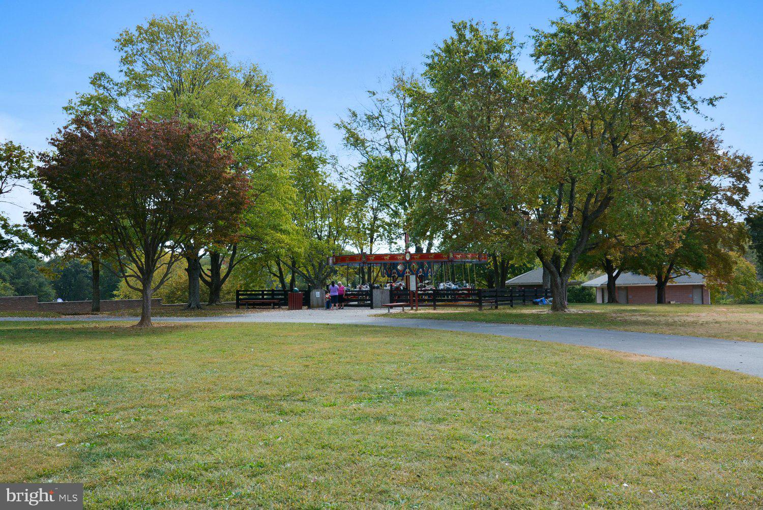 11110 Forest Edge Drive Reston, VA 20190 - Photo 41 of 46 Lake Fairfax Park Carousel