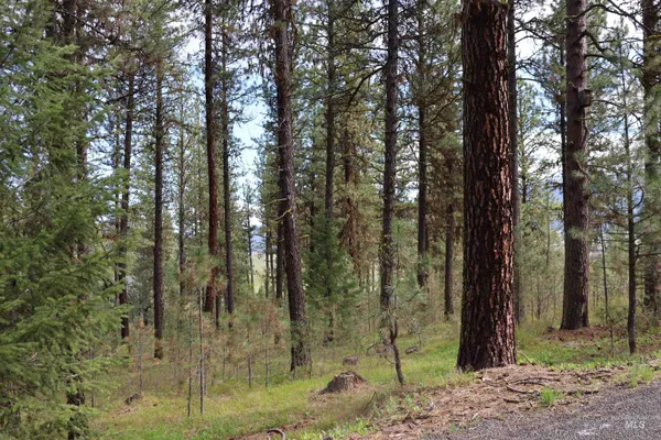 $80,000 | Tbd Hot Springs Road, New Meadows, ID 83654