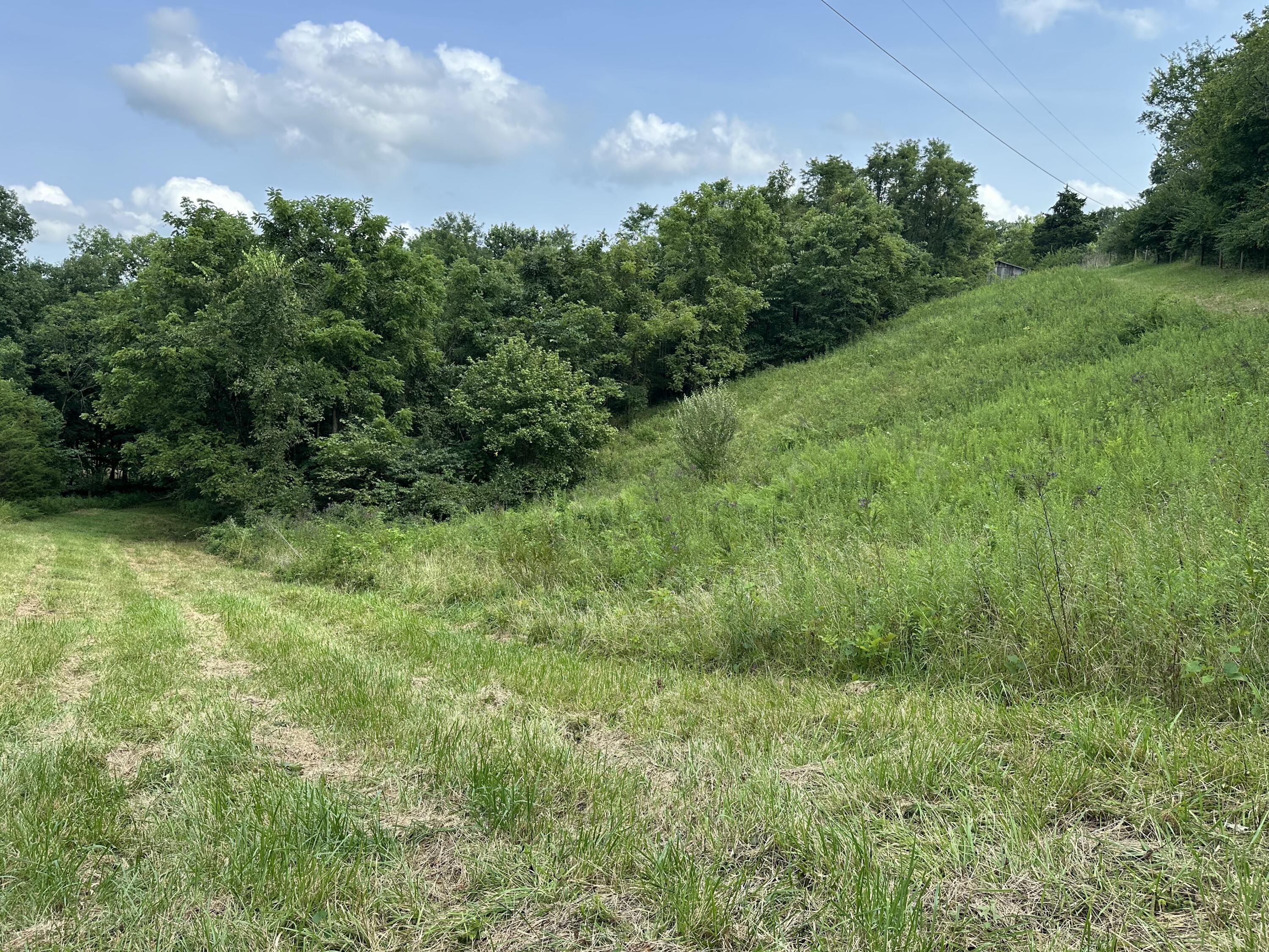 527 South Dividing Ridge Road Sadieville, KY 40370 - Photo 2 of 19 IMG_2756
