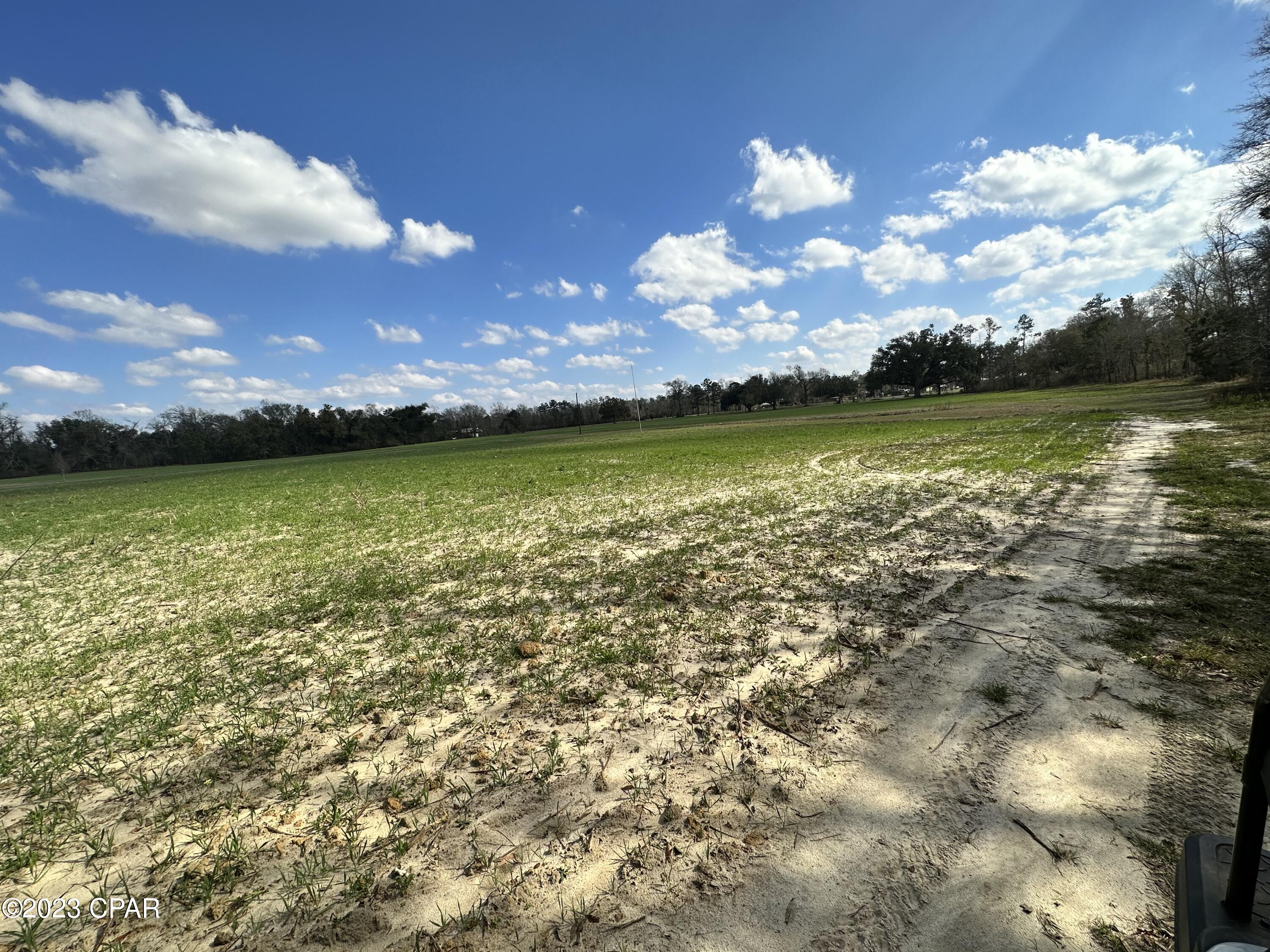 7336 Highway 90 Grand Ridge, FL 32442 - Photo 57 of 71 Gallery Image 57