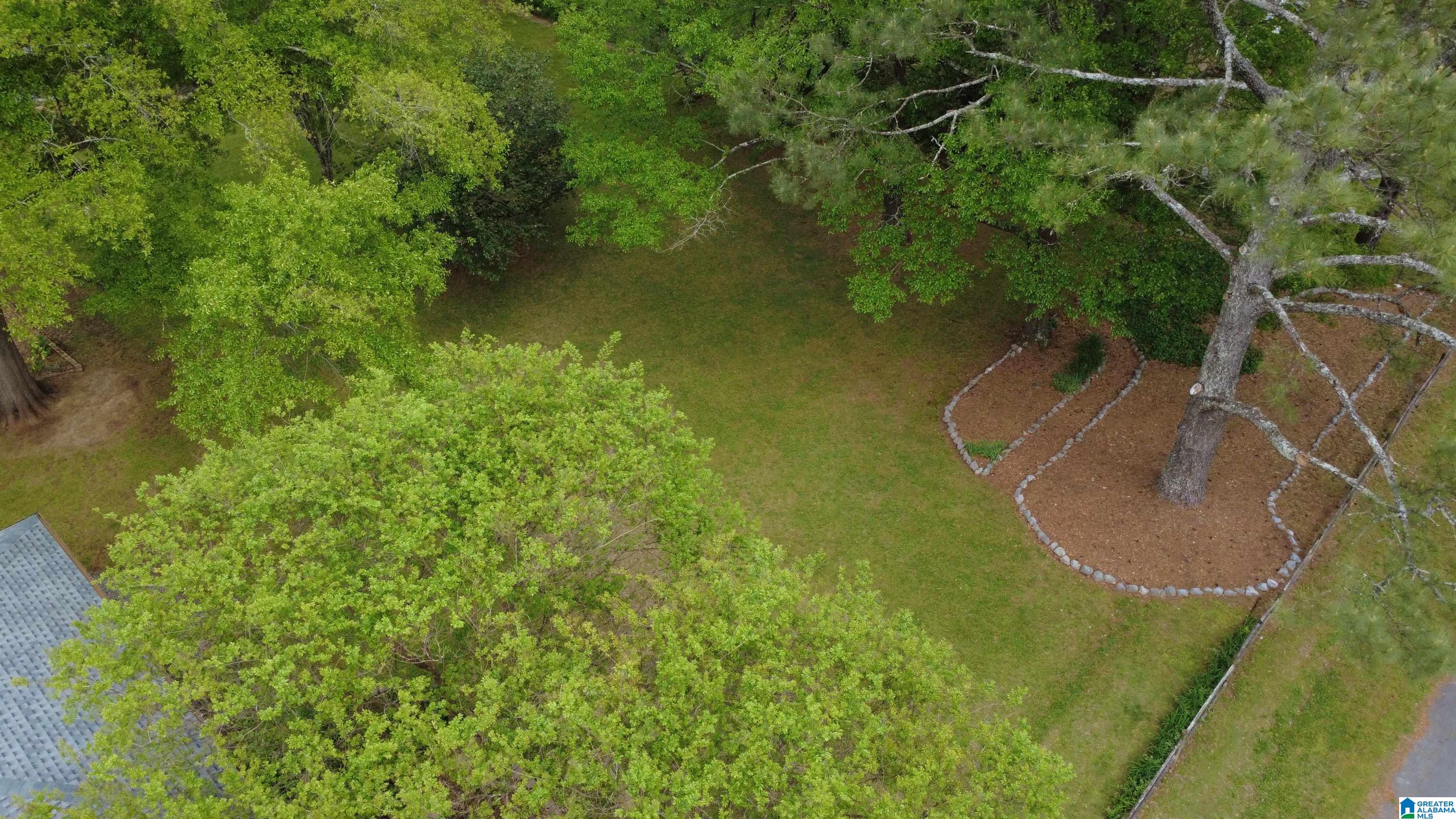 0 Strother Street Montevallo, AL 35115 - Photo 10 of 25