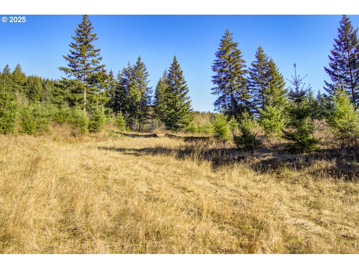 Northeast Hancock Road, Unit 1 Camas, WA 98607 - Photo 6 of 12